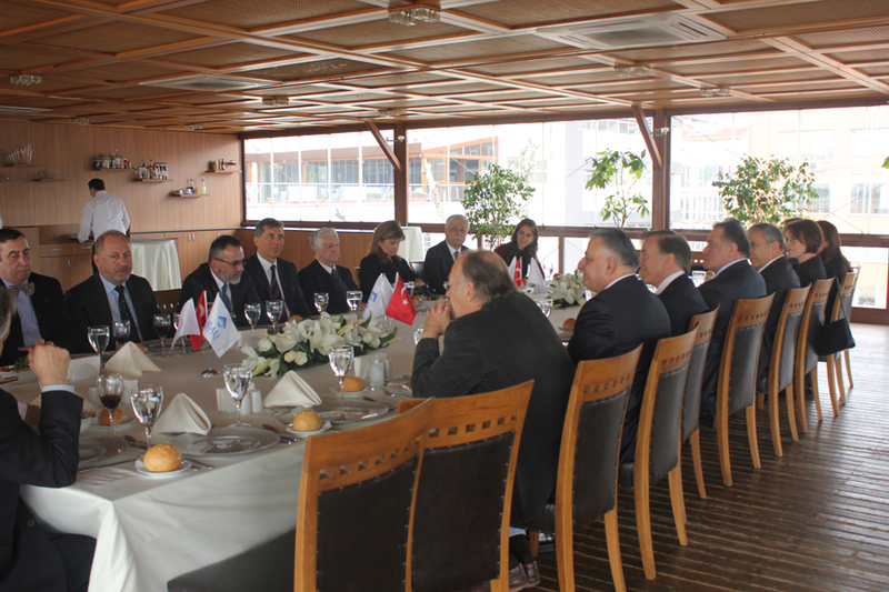 2. Geleneksel Türkiye'ye Değer Katanlar Ödülü - Oya Eczacıbaşı