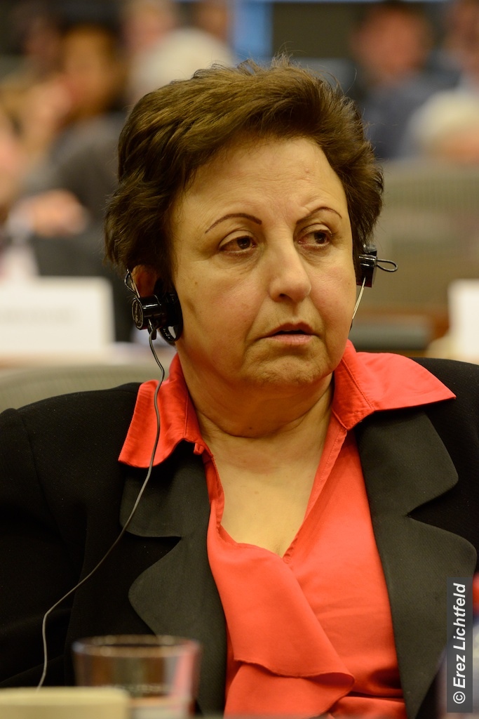 Enver Yücel Avrupa Parlamentosu'na Seslendi