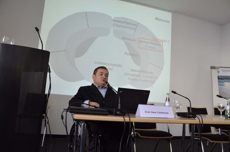 "Different Faces of Cognition: From Theory to Clinical Practice"