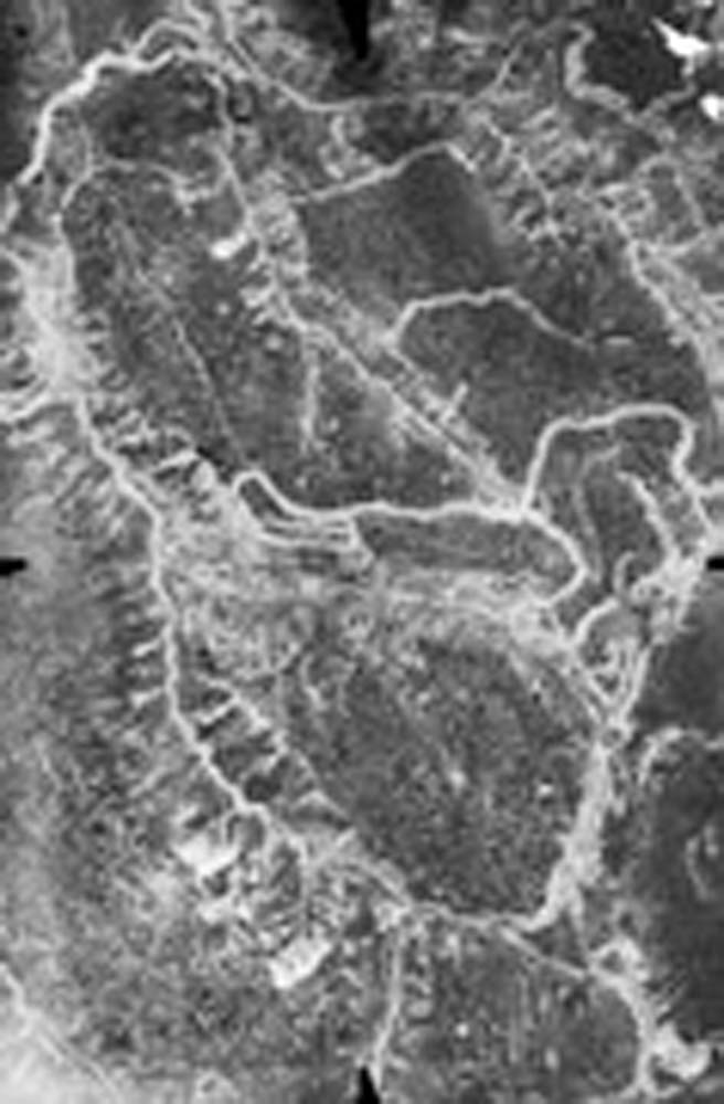 AWM Hava Fotoğrafları