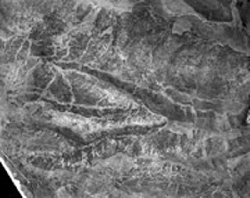 AWM Hava Fotoğrafları