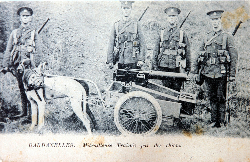 Kolordu Tarihi Fotoğraflar-I