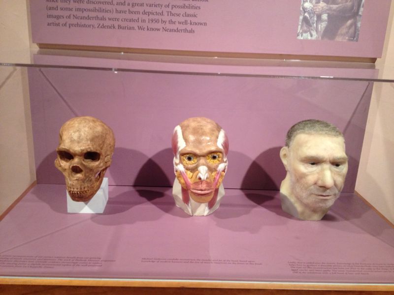 BAU Tıp Öğrencileri Yale Üniversitesi Tıp Fakültesi'nde