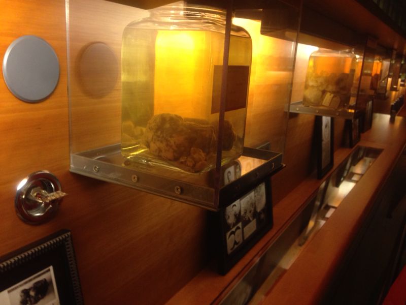 BAU Tıp Öğrencileri Yale Üniversitesi Tıp Fakültesi'nde