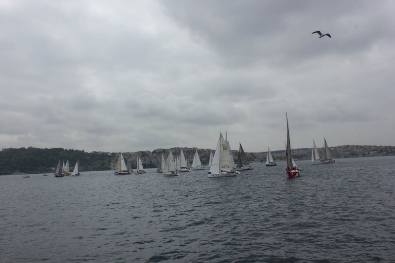 BAU Sailing Cup '14