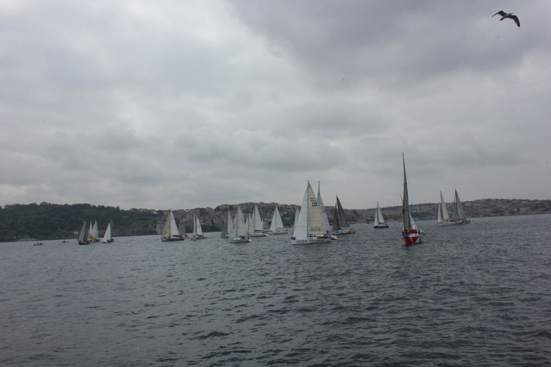 BAU Sailing Cup '14