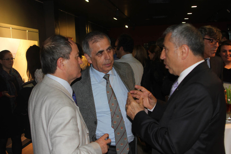 Gelibolu Mektupları