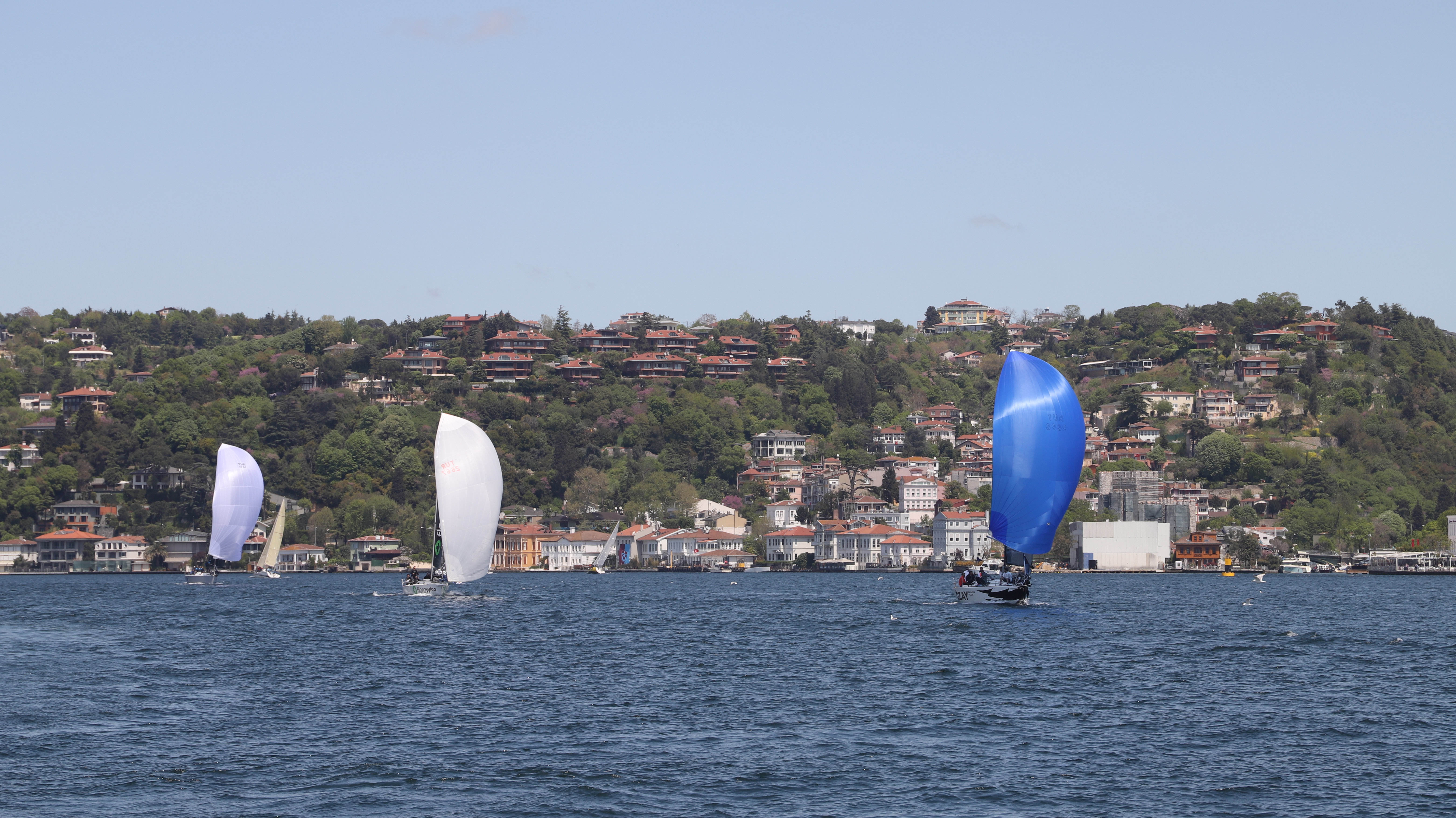 BAU Bosphorus Sailing Cup