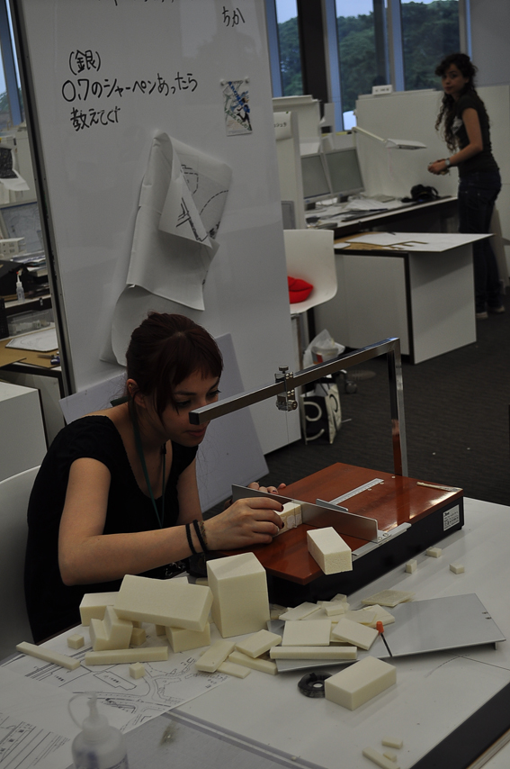 Mimarlık ve Tasarım Fakültesi ICSA/Japonya Yaz Okulu 2010