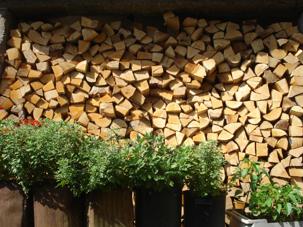 Mimarlık ve Tasarım Fakültesi Makedonya Yaz Okulu 2010