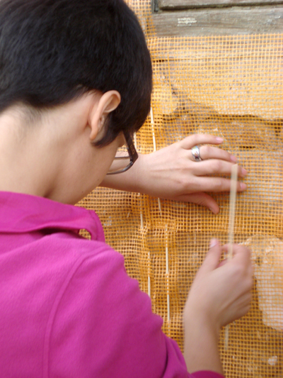 Mimarlık ve Tasarım Fakültesi Makedonya Yaz Okulu 2010