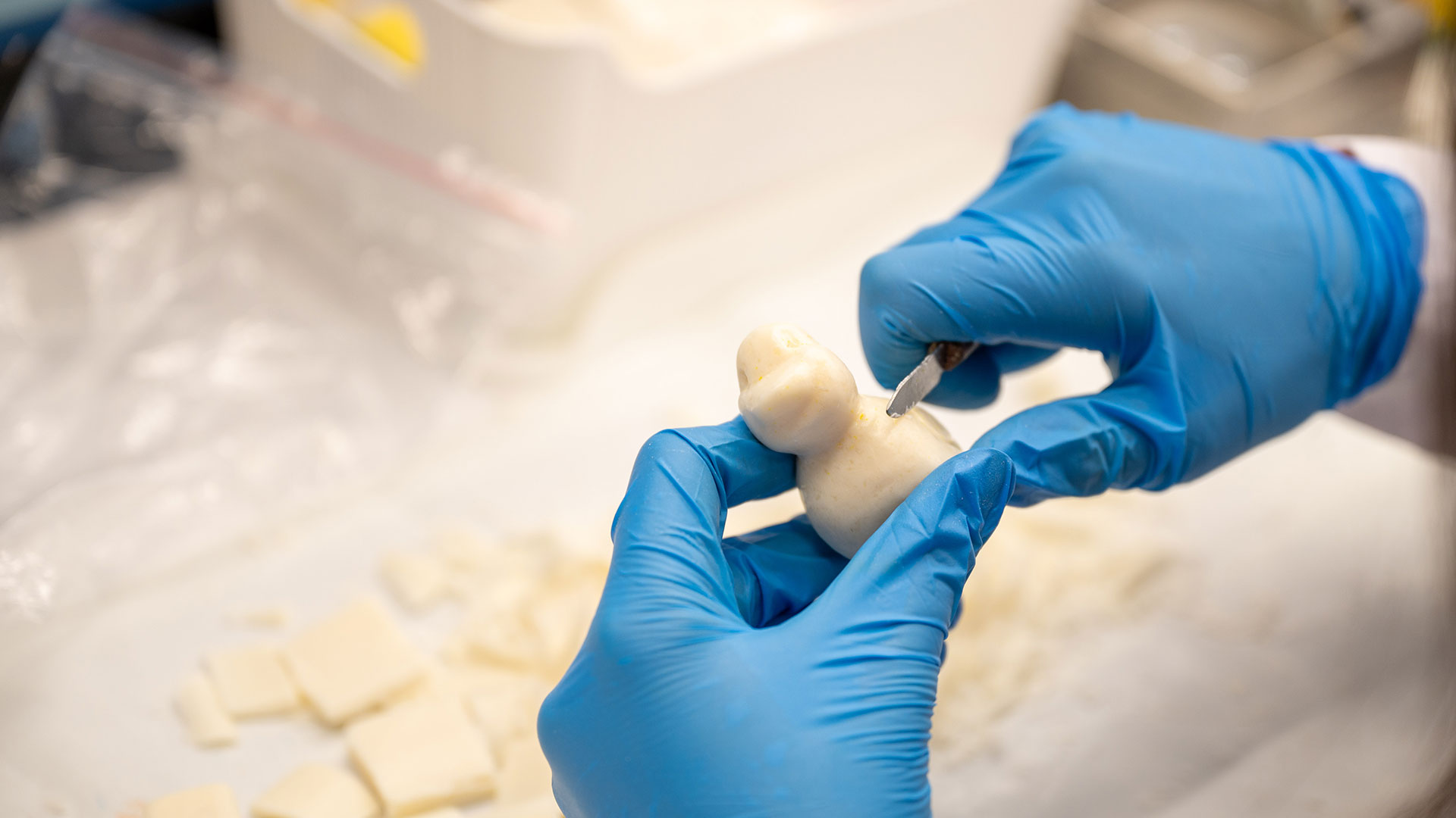 Diş Hekimliği Fakültesi Galerisi