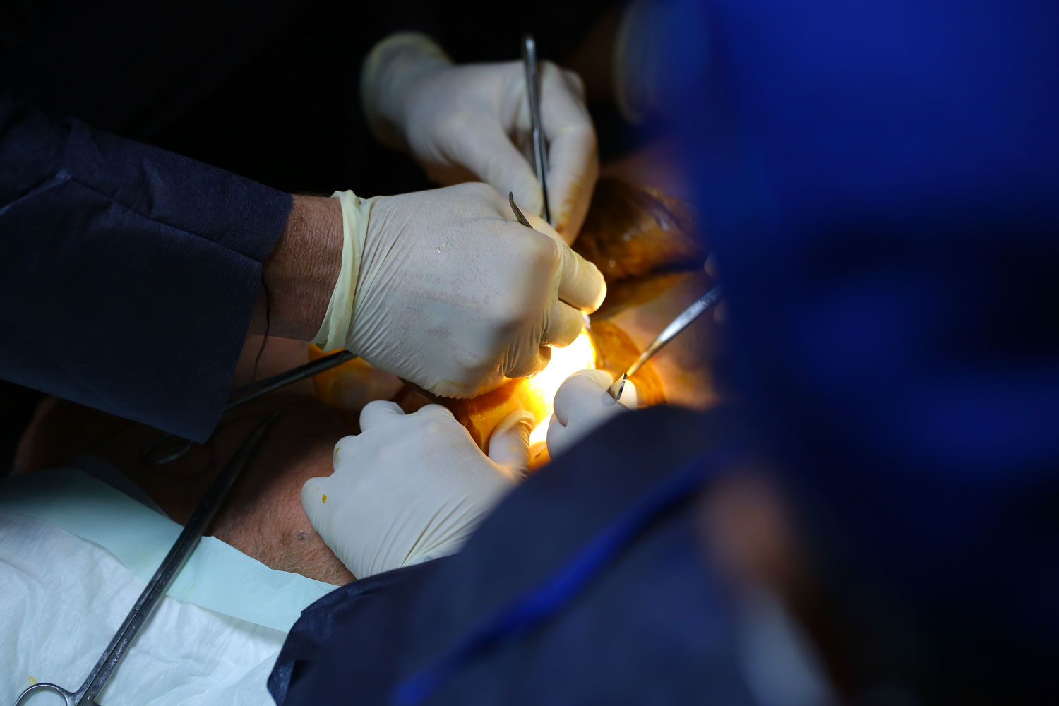 Prof. Rhoton Uygulamalı Anatomi ve Cerrahi Eğitim Merkezi