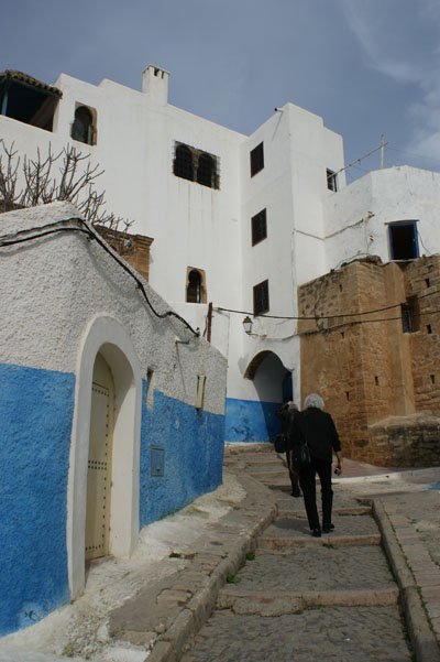 Mimarlık ve Tasarım Fakültesi FAS Teknik Gezisi-2010