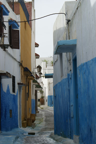 Mimarlık ve Tasarım Fakültesi FAS Teknik Gezisi-2010