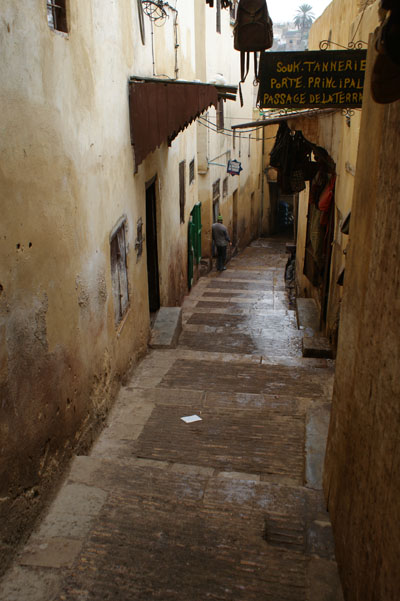 Mimarlık ve Tasarım Fakültesi FAS Teknik Gezisi-2010