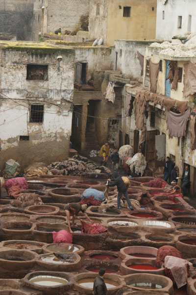 Mimarlık ve Tasarım Fakültesi FAS Teknik Gezisi-2010