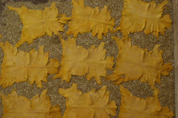 Mimarlık ve Tasarım Fakültesi FAS Teknik Gezisi-2010