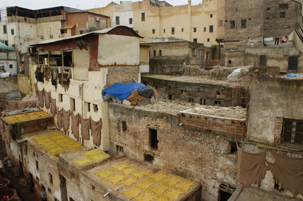 Mimarlık ve Tasarım Fakültesi FAS Teknik Gezisi-2010