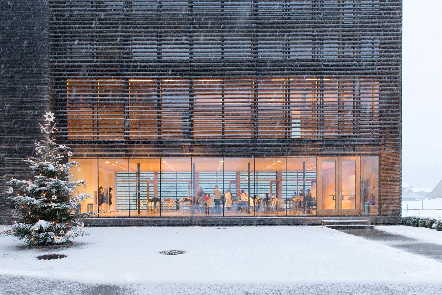 Salzburg Kış Okulu 2019 / Salzburg Winter School 2019