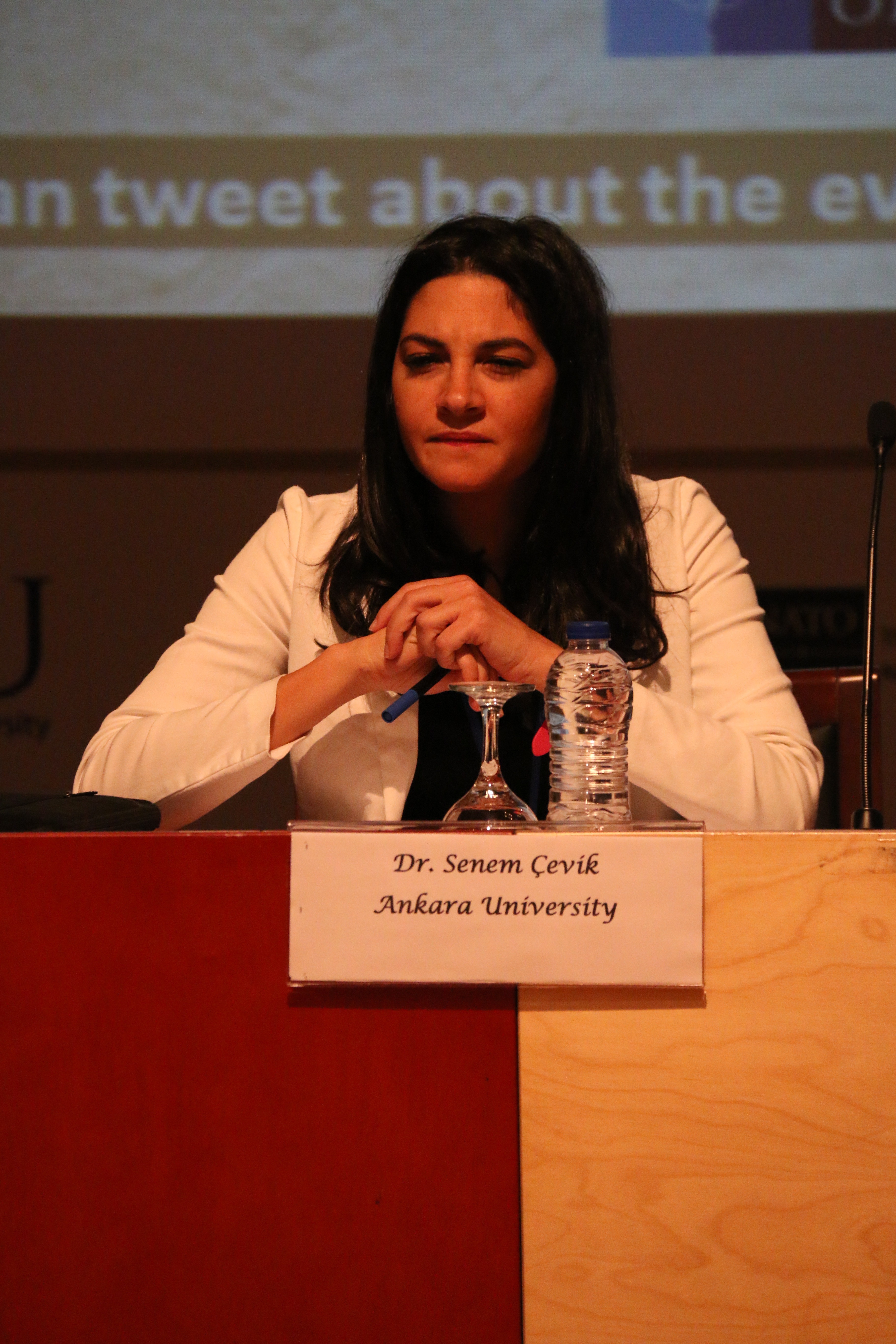 Chaging Region: The Role of Turkish Foreign Policy and Soft Power