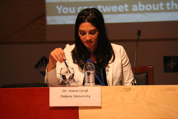 Chaging Region: The Role of Turkish Foreign Policy and Soft Power