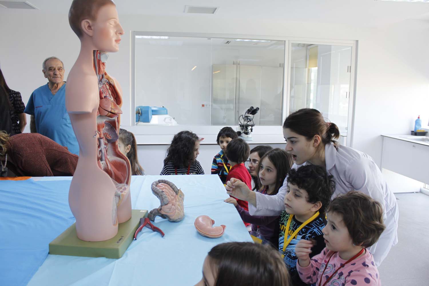 Anaokulu Çocukları Anatomiyi Öğrendi