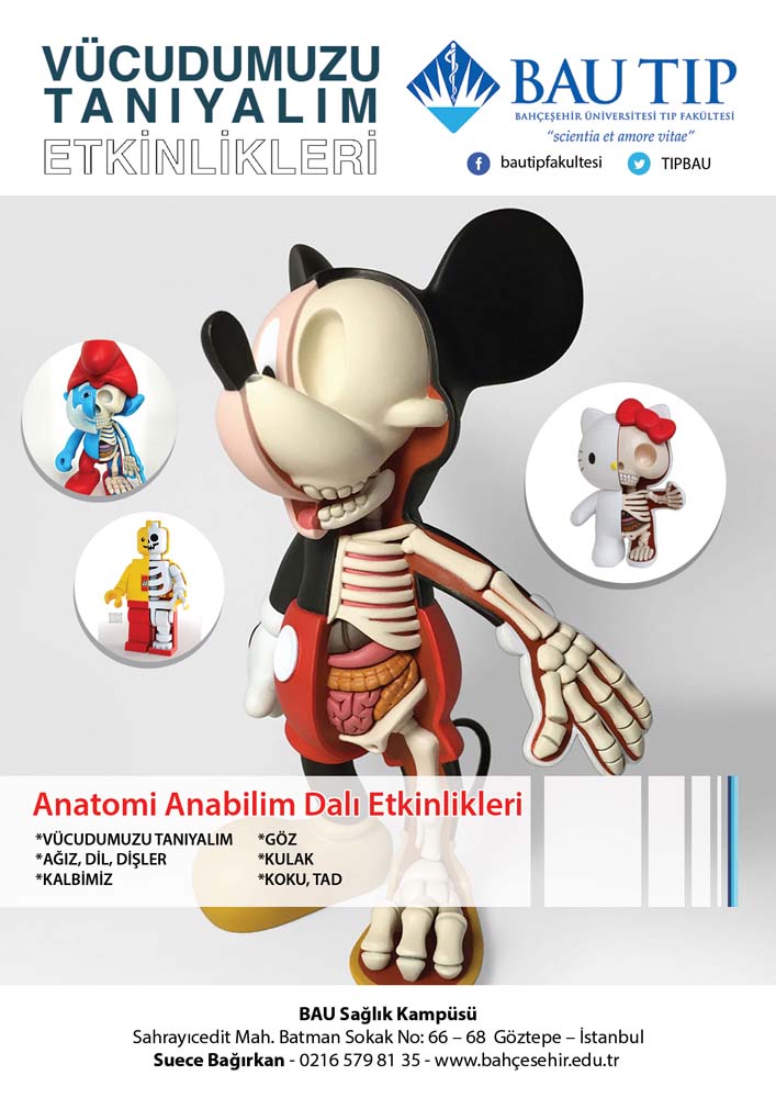 Anaokulu Çocukları Anatomiyi Öğrendi