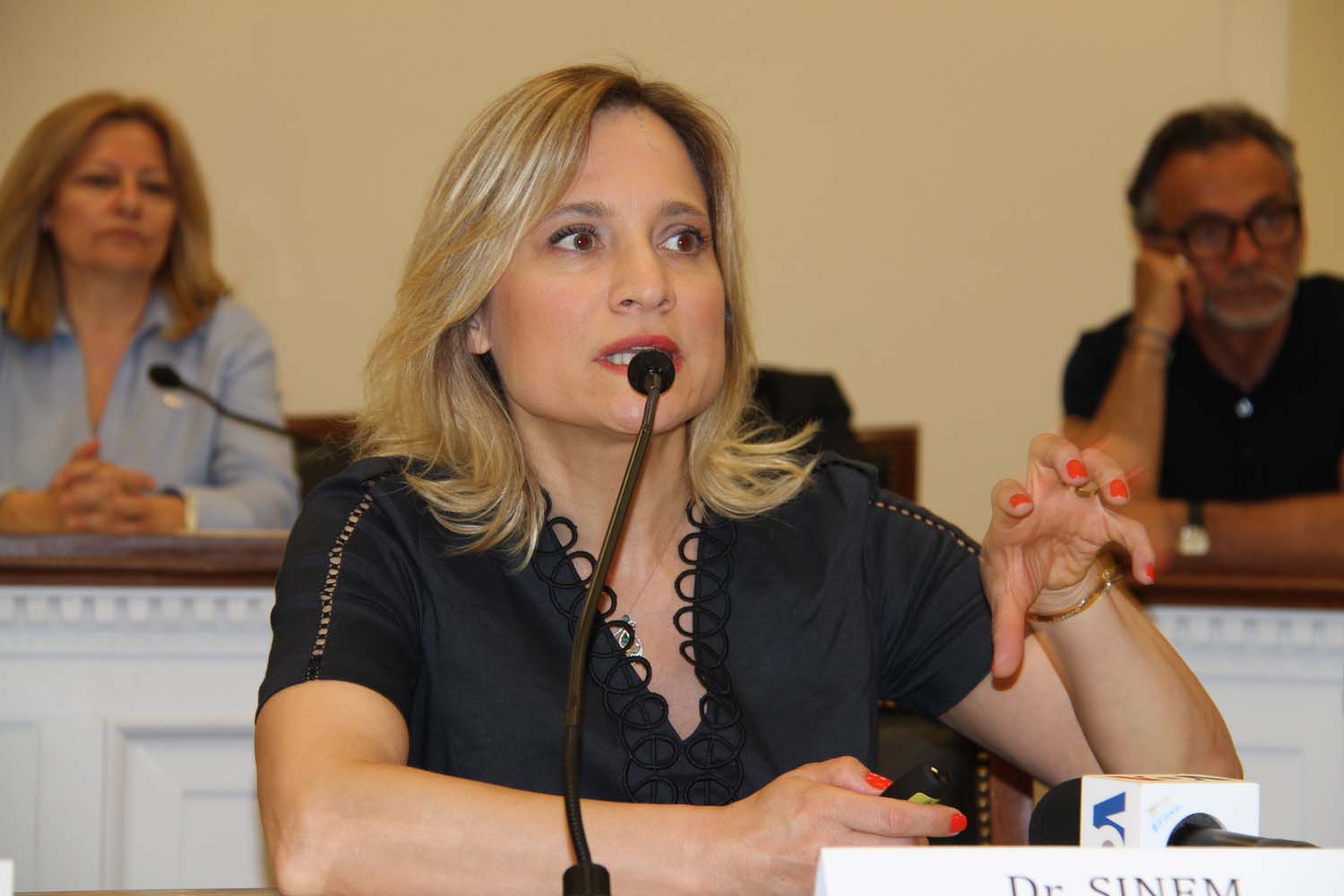 Enver Yücel ABD Kongresi'nde Konuştu