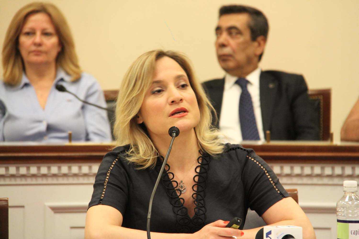 Enver Yücel ABD Kongresi'nde Konuştu