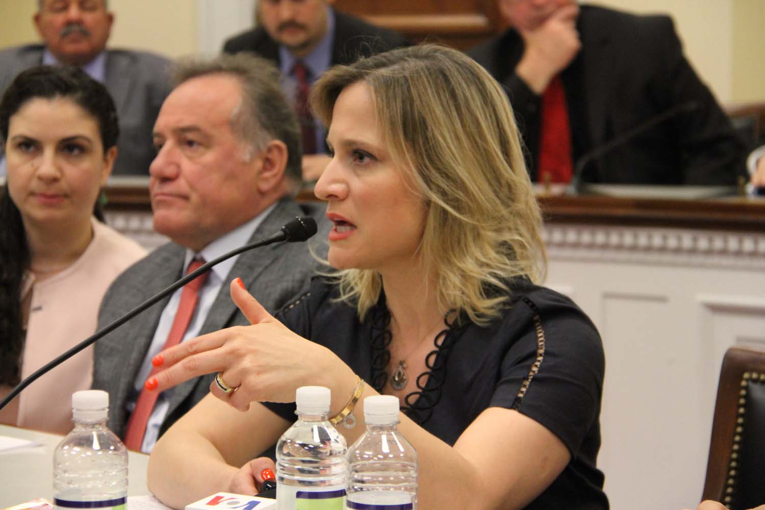 Enver Yücel ABD Kongresi'nde Konuştu