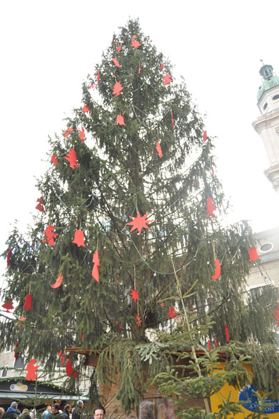 Mimarlık ve Tasarım Fakültesi Salzburg /2011