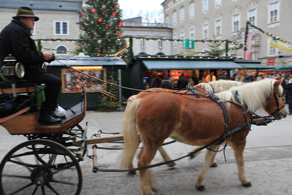 Mimarlık ve Tasarım Fakültesi Salzburg /2011
