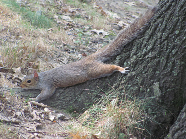 Mimarlık ve Tasarım Fakültesi ABD 2012