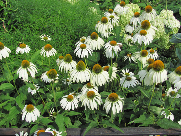 Mimarlık ve Tasarım Fakültesi ABD 2012