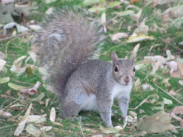Mimarlık ve Tasarım Fakültesi ABD 2012