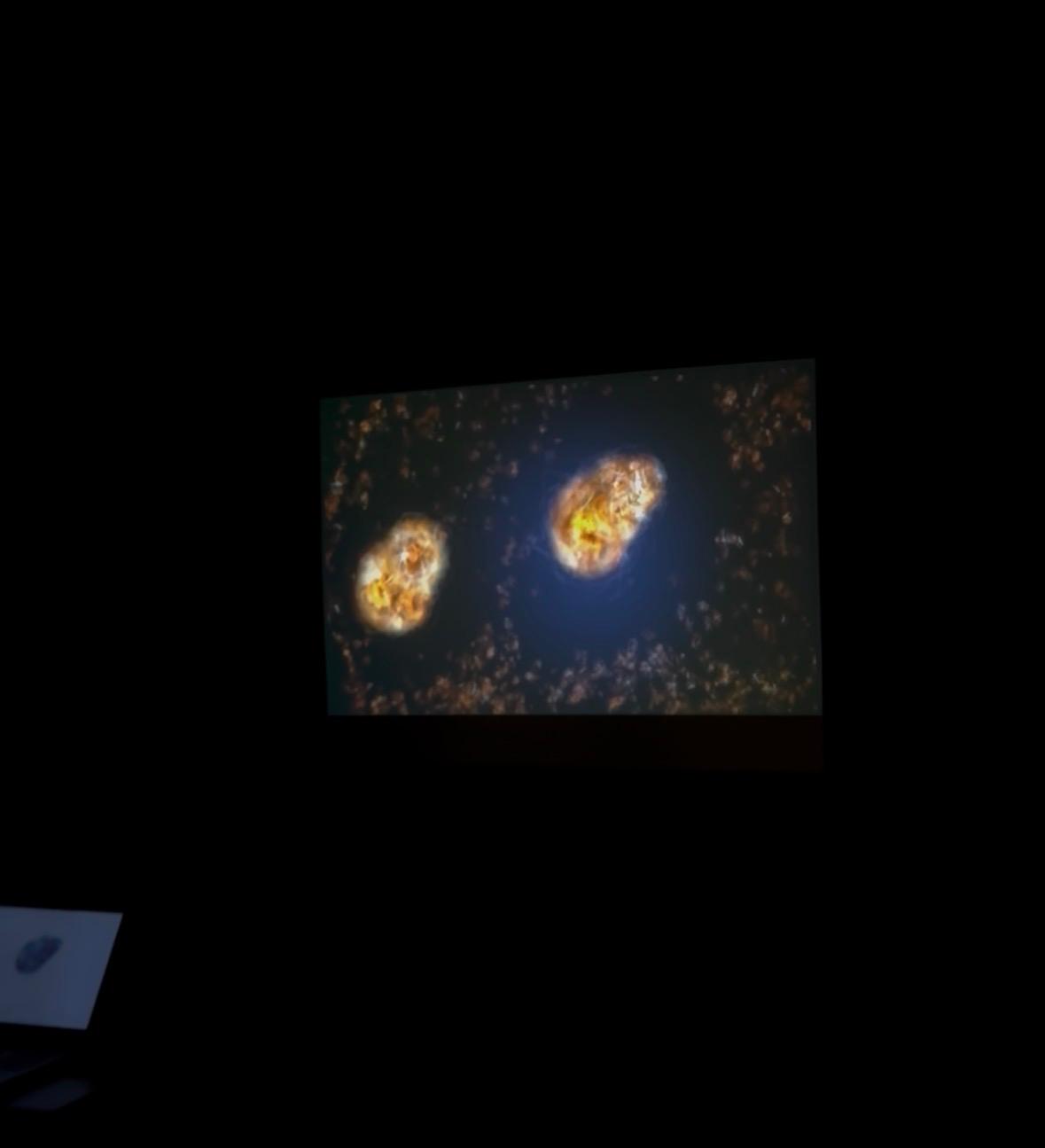 BAU Yeni Müzik Günleri 25 BAU Konservatuvar Ev Sahipliğinde Gerçekleşti