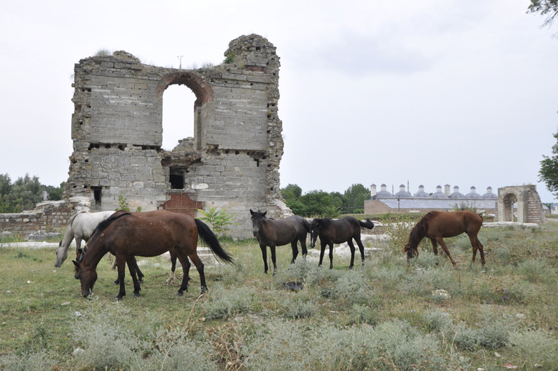 Edirne Sarayı Kazı ve Restorasyon Çalışmaları - 2012