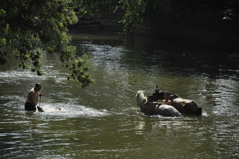 Edirne Sarayı Kazı ve Restorasyon Çalışmaları - 2012