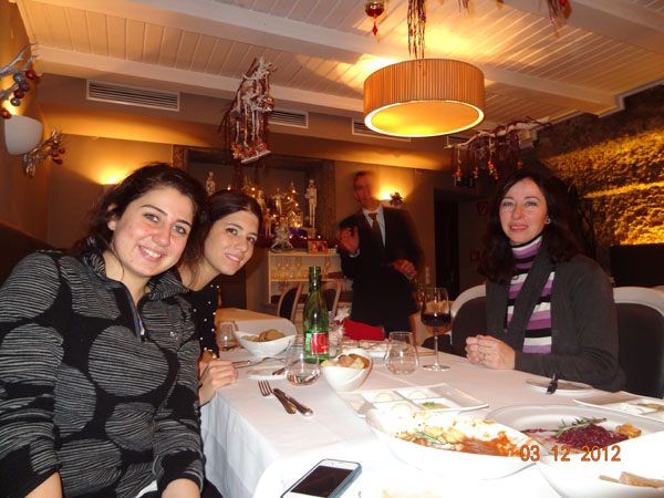 Bahçeşehir Üniversitesi Mimarlık ve Tasarım Fakültesi Salzburg 2012 Kış Okulu