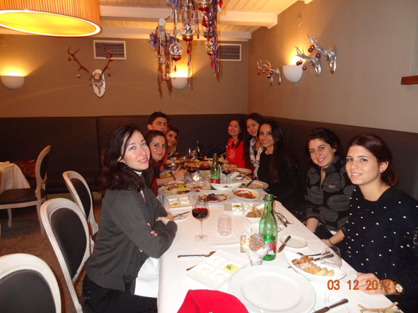 Bahçeşehir Üniversitesi Mimarlık ve Tasarım Fakültesi Salzburg 2012 Kış Okulu