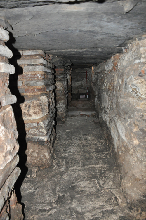 Edirne Sarayı Kazısı - 2009