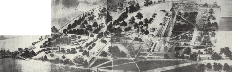 Edirne Sarayı Kazısı - 2009