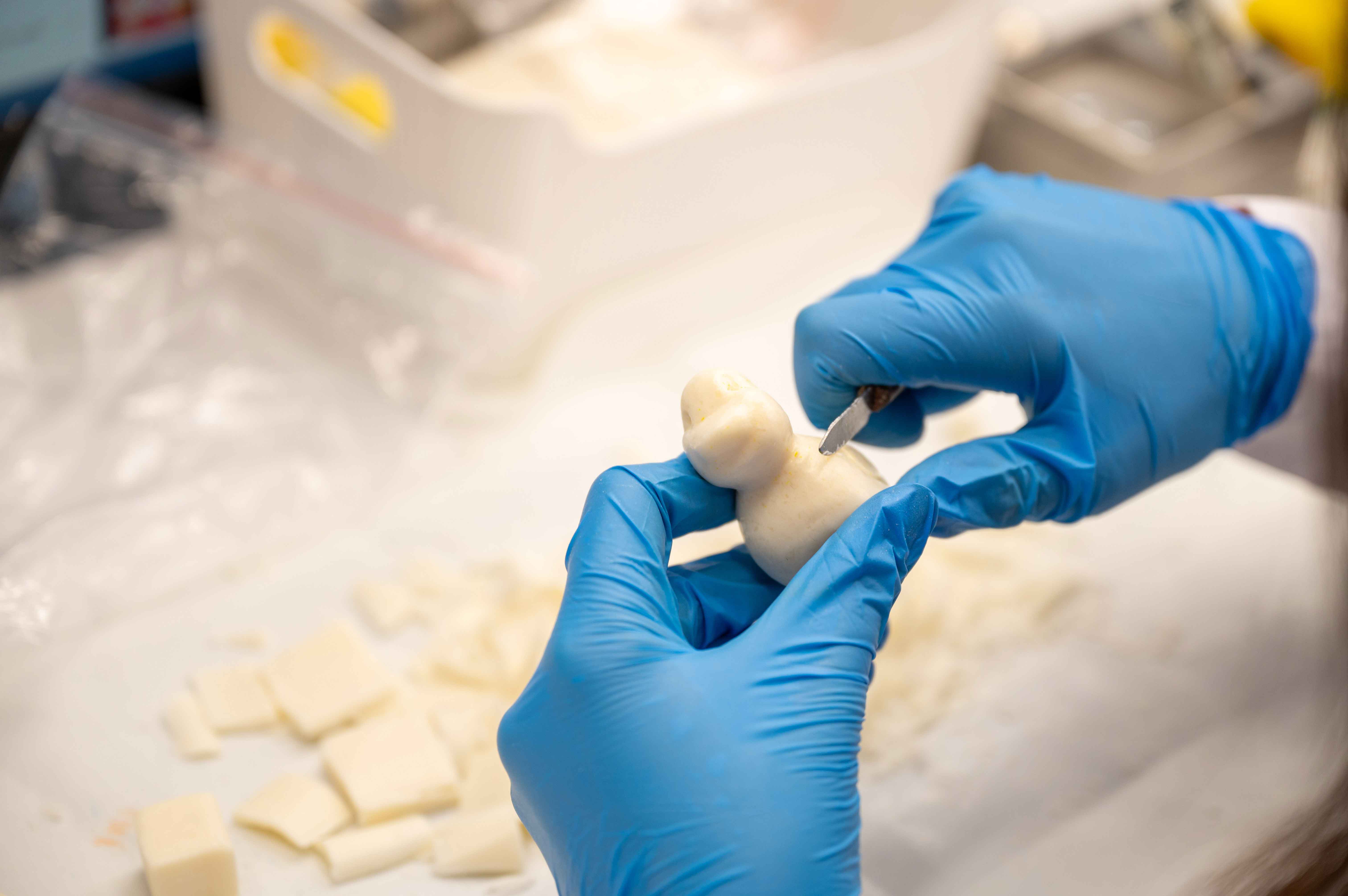 Balmumcu (Dental) Yerleşkesi