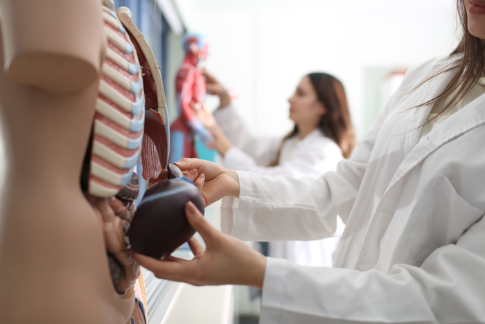 BAU SHMYO Laboratuvarlarımız