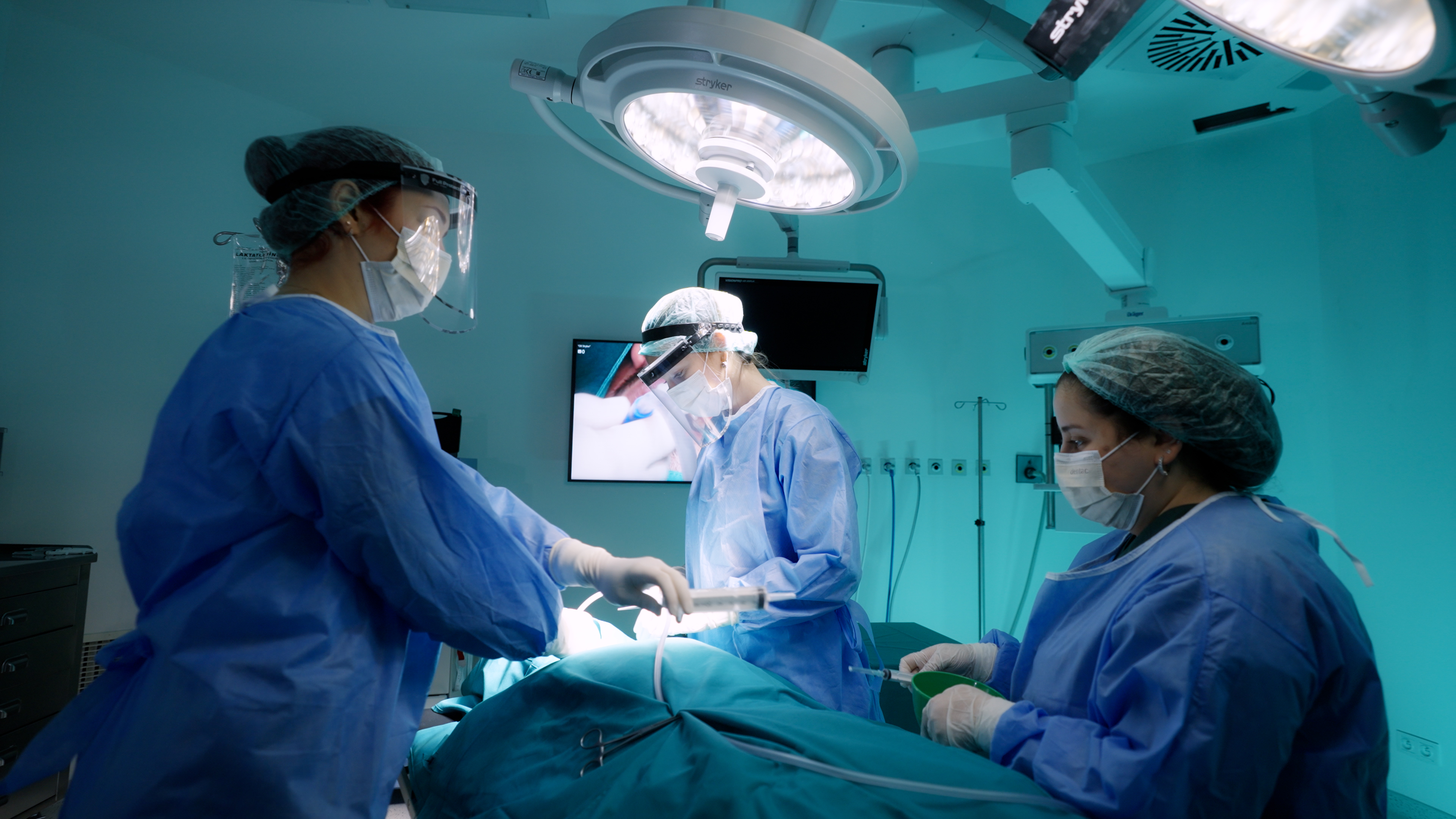 Diş Hekimliği Fakültesi