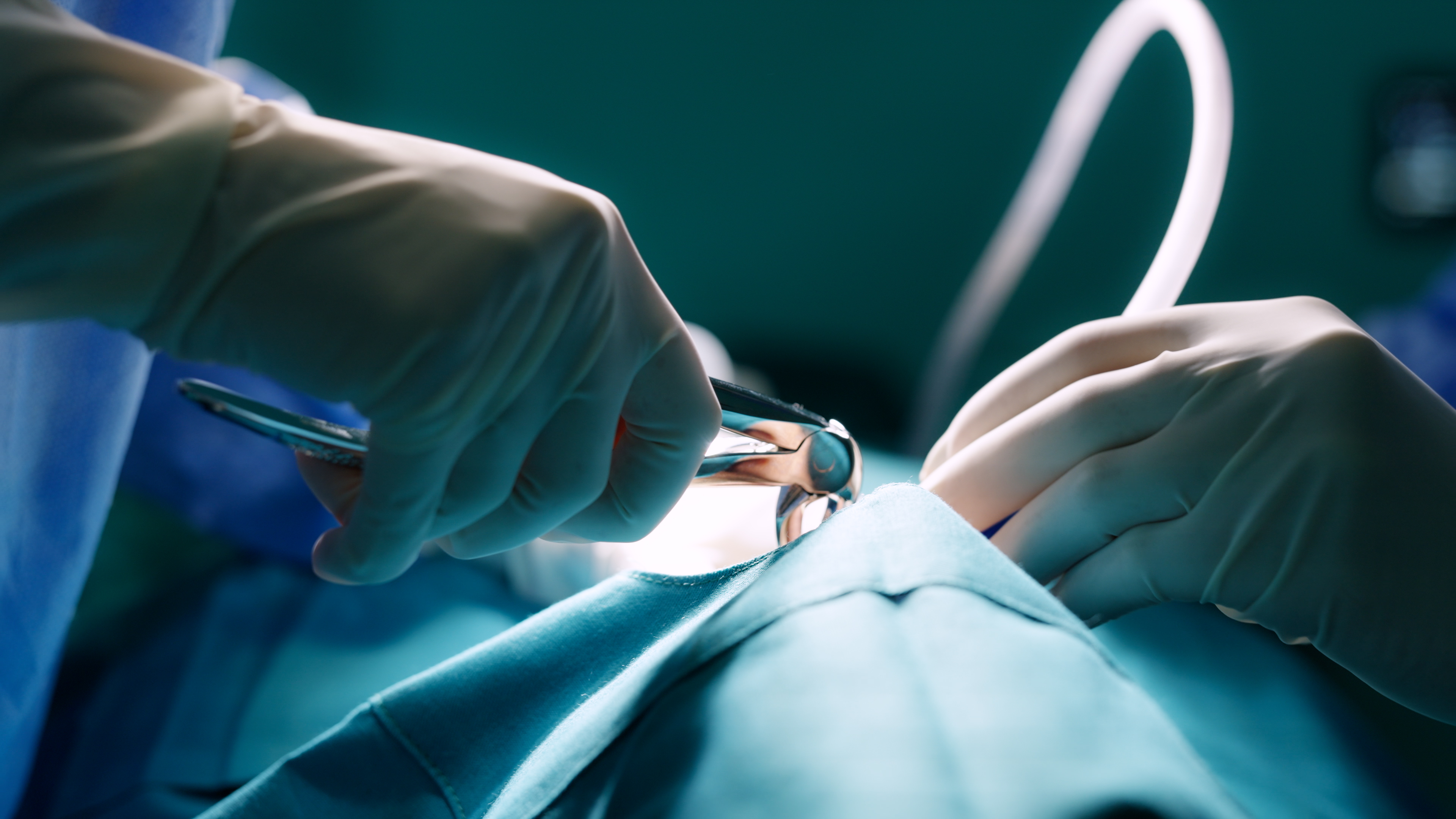 Diş Hekimliği Fakültesi