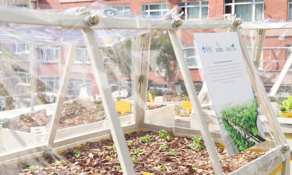 BAU Gastronomi'de Topraksız Tarım