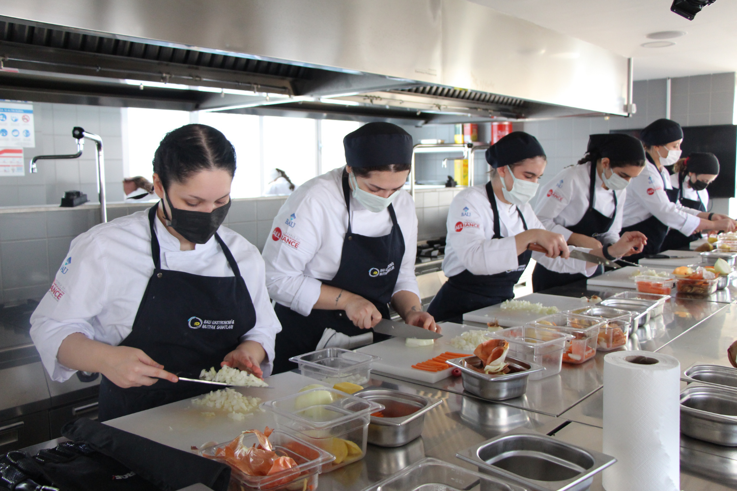 Beşiktaş Kuzey Yerleşkesi