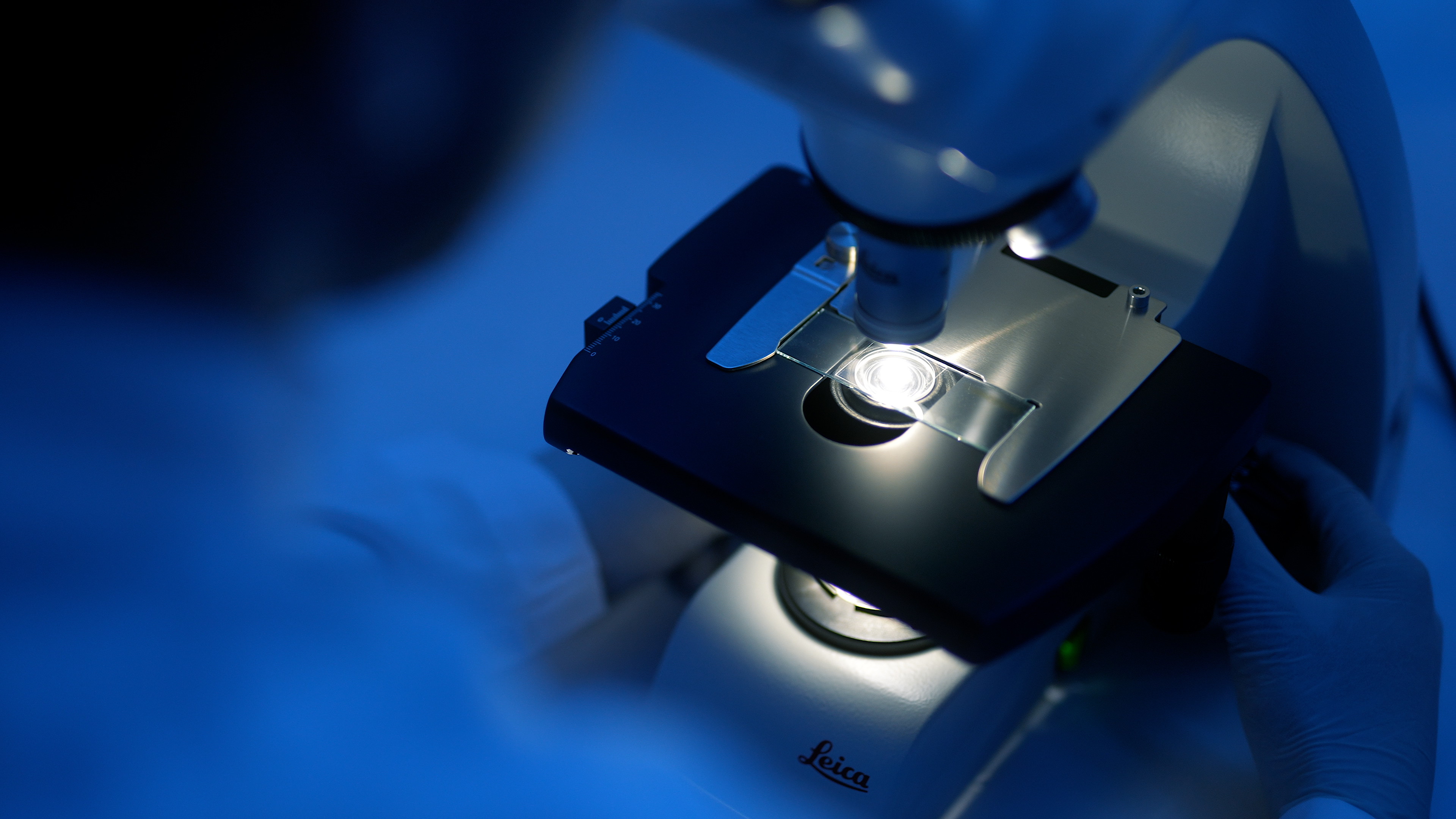 Eczacılık Fakültesi